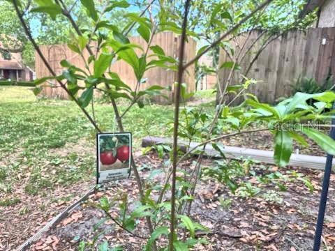2761 Graniteridge Ct, Orange Park, FL 32065 - exterior view of fence and a garden