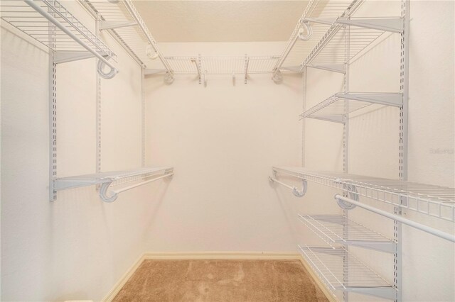 spacious closet with carpet floors