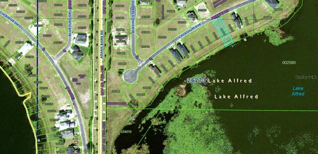 160 Caladium Ave, Lake Alfred, FL 33850 - photo 2