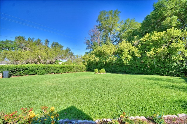 2611 State Road 557, Lake Alfred, FL 33850 - view of yard