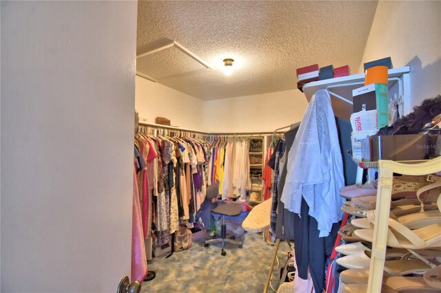 2611 State Road 557, Lake Alfred, FL 33850 - walk in closet featuring carpet