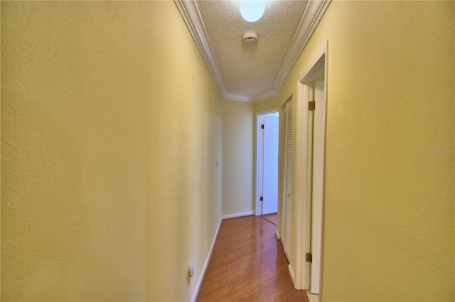 2611 State Road 557, Lake Alfred, FL 33850 - corridor featuring a textured ceiling, wood finished floors, a textured wall, and ornamental molding