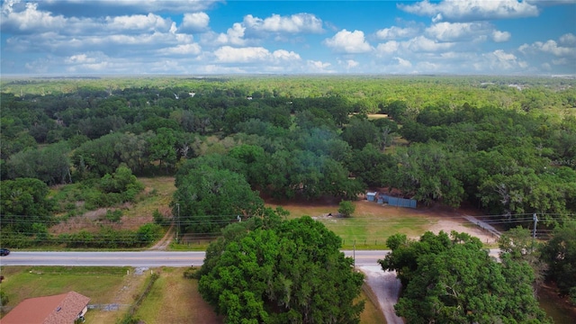 4142 K Ville Ave, Auburndale, FL 33823 - photo 2