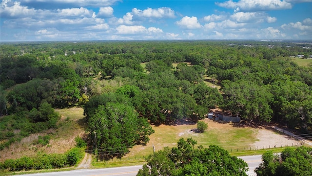 4142 K Ville Ave, Auburndale, FL 33823 - photo 4