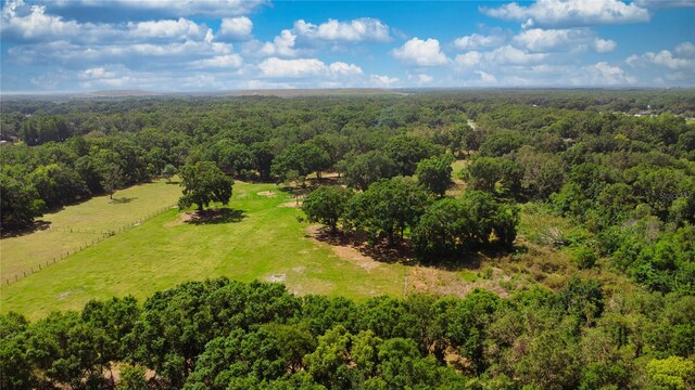 4142 K Ville Ave, Auburndale, FL 33823 - photo 5
