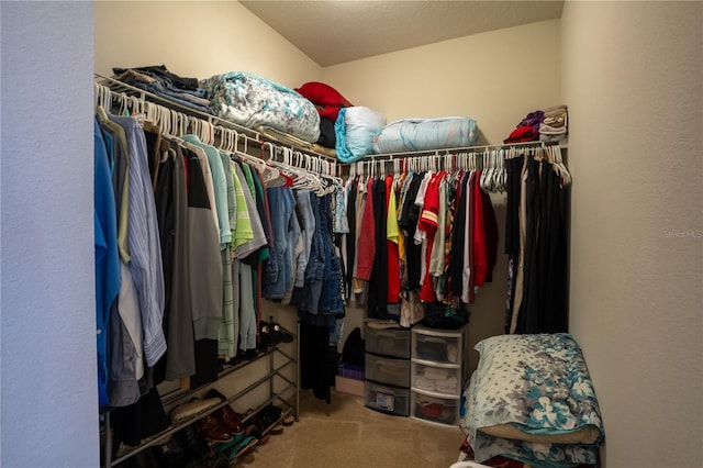 249 Haines Blvd, Winter Haven, FL 33881 - walk in closet featuring carpet flooring