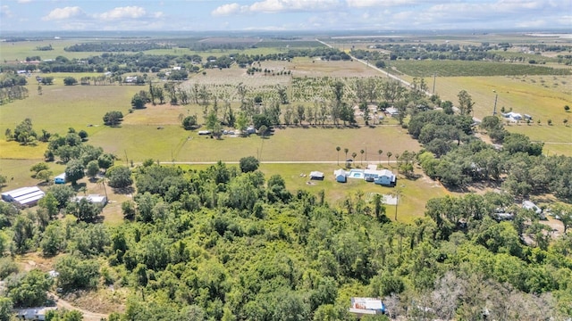 6925 Alturas Babson Park Cutoff, Bartow, FL 33830 - photo 46