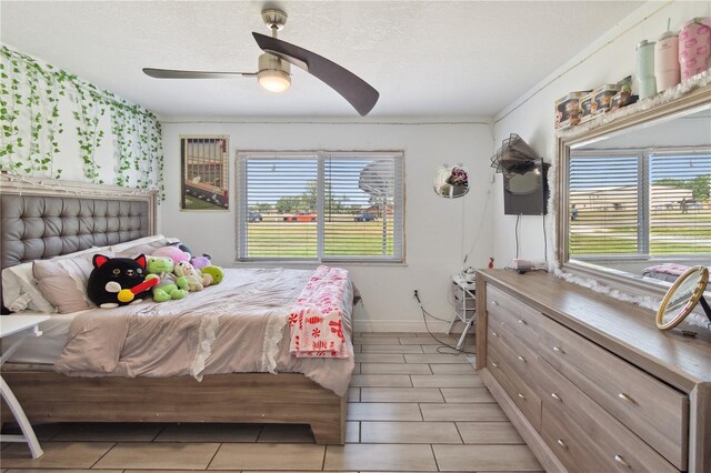 904 Terrier Dr, Zolfo Springs, FL 33890 - photo 19