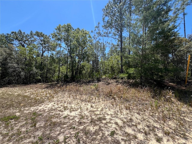 5354 N Tee Pee Dr, Beverly Hills, FL 34465 - photo 4
