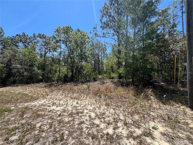 5354 N Tee Pee Dr, Beverly Hills, FL 34465 - photo 5