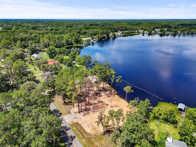 Ida Blvd, Interlachen, FL 32148