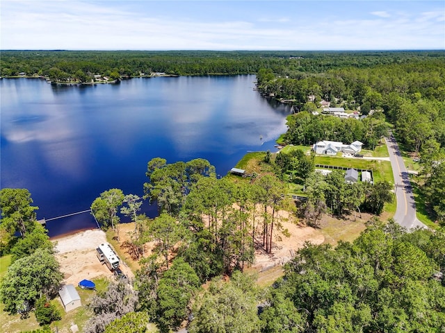 Ida Blvd, Interlachen, FL 32148