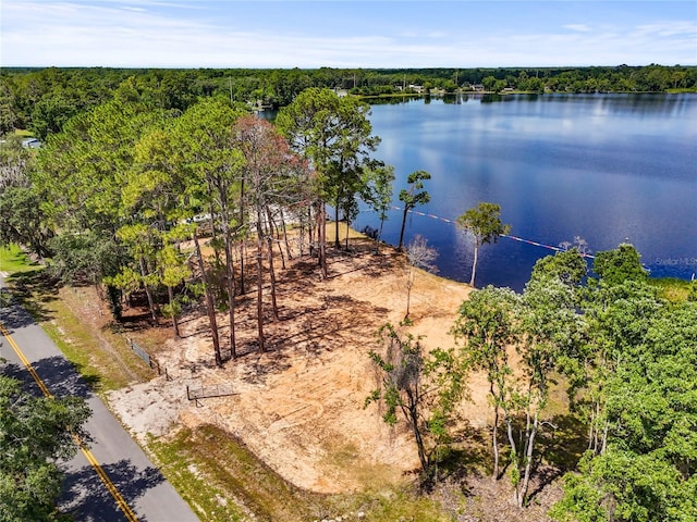 Ida Blvd, Interlachen, FL 32148