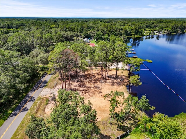 Ida Blvd, Interlachen, FL 32148