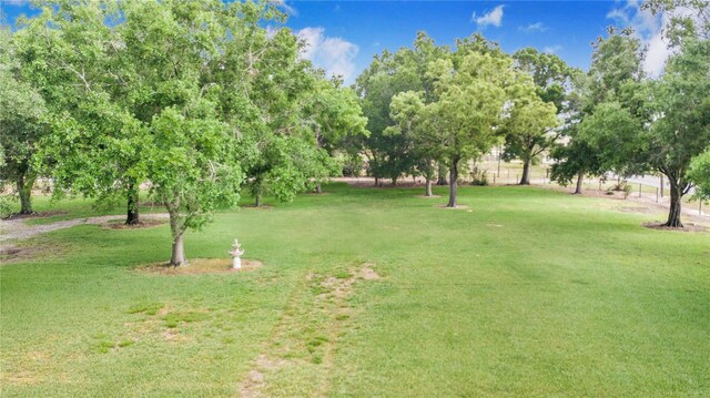 1646 Tyner Rd, Haines City, FL 33844 - photo 9