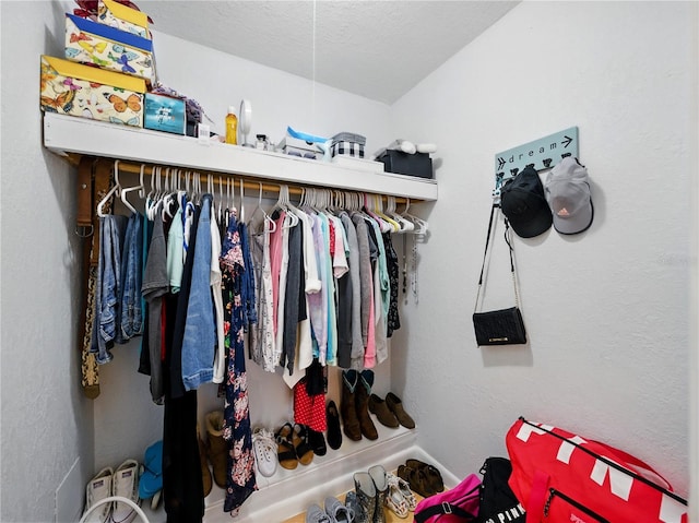 view of closet