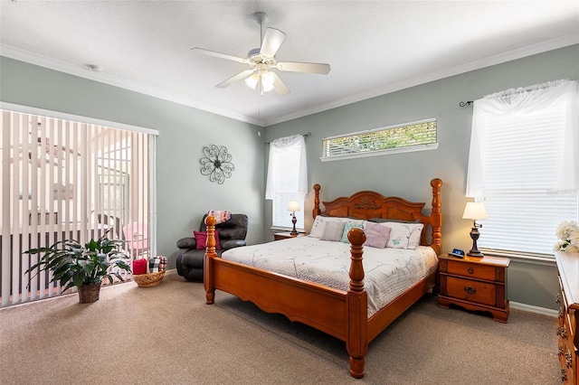 177 Costa Loop, Auburndale, FL 33823 - bedroom with carpet floors, baseboards, a ceiling fan, and crown molding