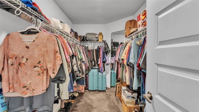 spacious closet featuring carpet flooring