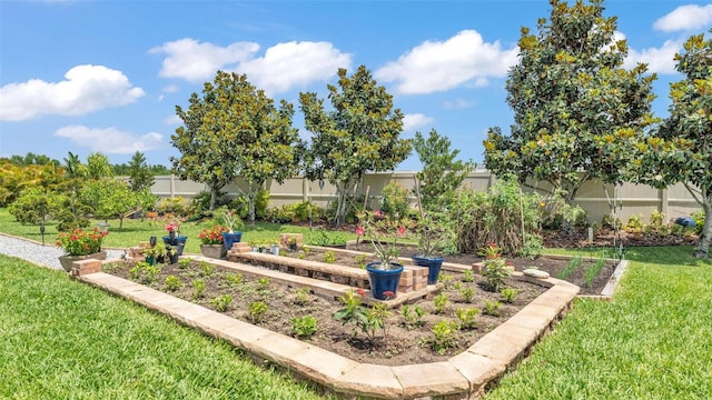 view of yard with a vegetable garden and a fenced backyard