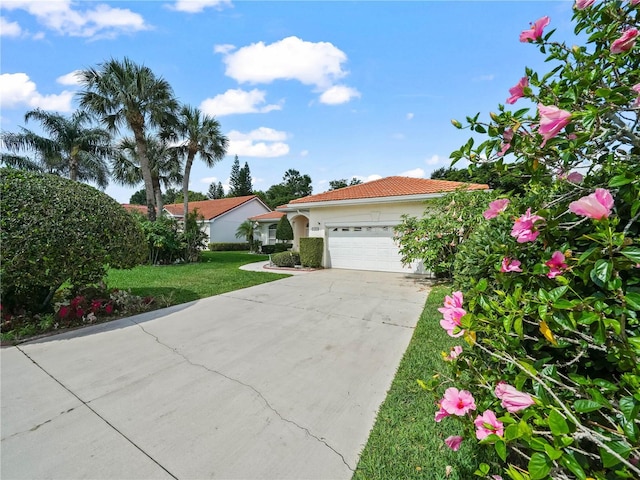 530 Greenway Dr, Lake Wales, FL 33898 - view of front facade with a front yard, stucco siding, an attached garage, driveway, and a tile roof