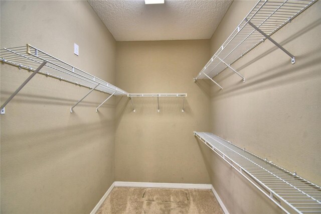 154 Canna Dr, Davenport, FL 33897 - photo 24