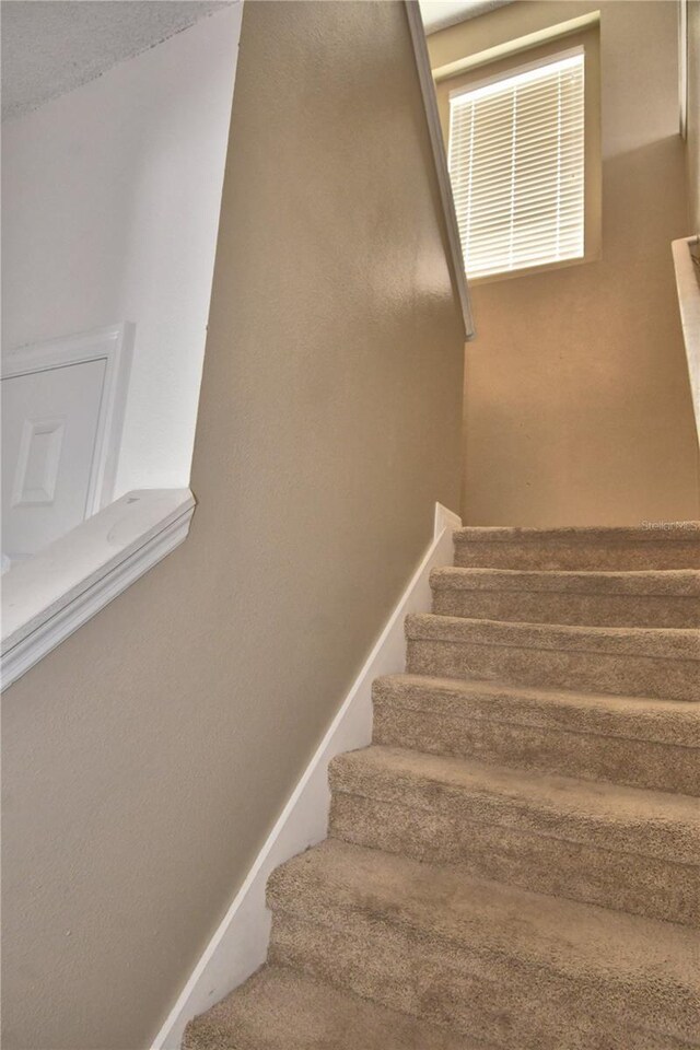 154 Canna Dr, Davenport, FL 33897 - photo 41