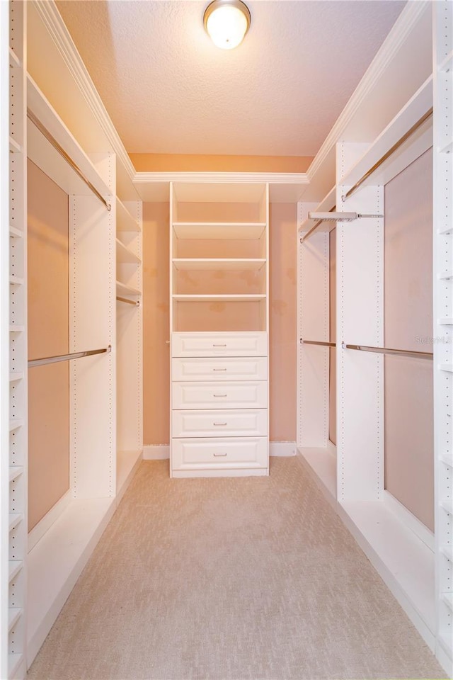 walk in closet featuring light carpet