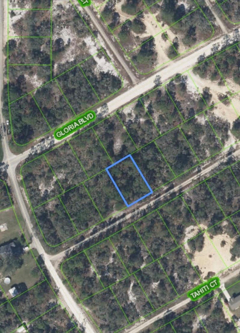406 Allegheny Ave, Lake Placid, FL 33852 - photo 1