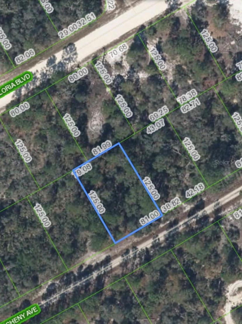 406 Allegheny Ave, Lake Placid, FL 33852 - photo 2