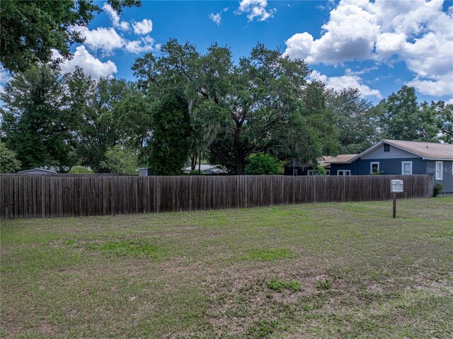 803 7th St NE, Fort Meade, FL 33841 - view of yard