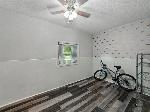 803 7th St NE, Fort Meade, FL 33841 - unfurnished room with wood finished floors, a ceiling fan, and a textured ceiling
