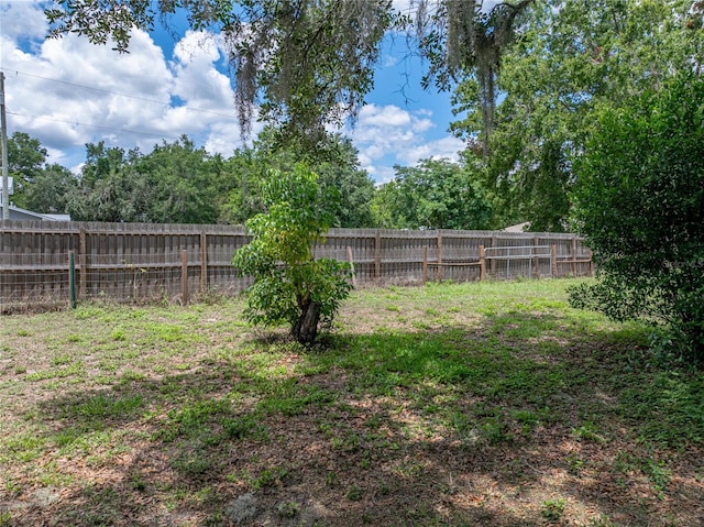 803 7th St NE, Fort Meade, FL 33841 - view of yard