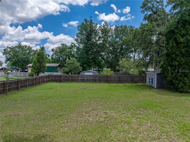 803 7th St NE, Fort Meade, FL 33841 - view of yard