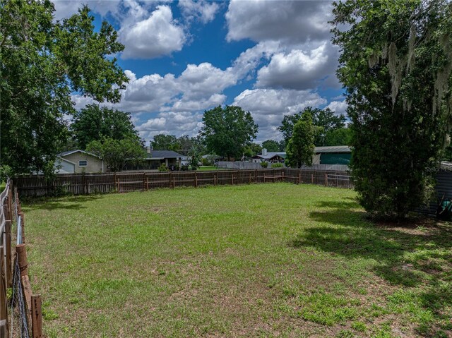 803 7th St NE, Fort Meade, FL 33841 - view of yard