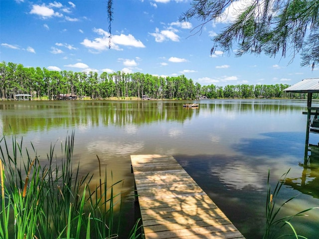 6317 Discovery Ln, Land O Lakes, FL 34638 - view of dock with a water view