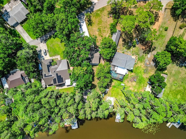 6317 Discovery Ln, Land O Lakes, FL 34638 - birds eye view of property with a residential view and a water view