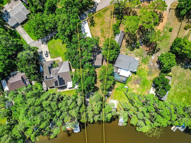 6317 Discovery Ln, Land O Lakes, FL 34638 - aerial view with a residential view and a water view