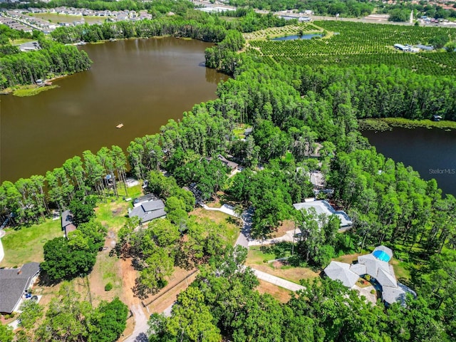 6317 Discovery Ln, Land O Lakes, FL 34638 - birds eye view of property with a water view