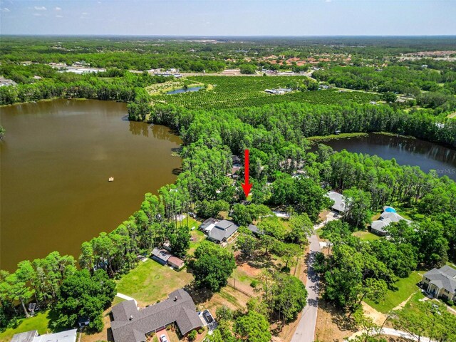6317 Discovery Ln, Land O Lakes, FL 34638 - bird's eye view with a water view