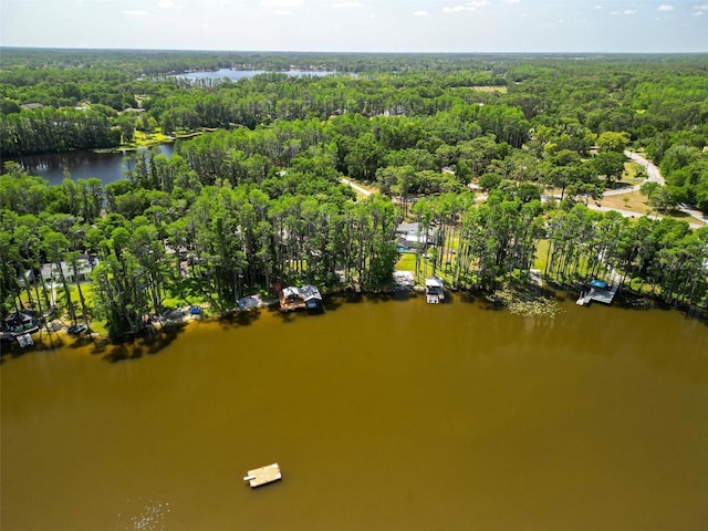 6317 Discovery Ln, Land O Lakes, FL 34638 - bird's eye view featuring a water view and a wooded view