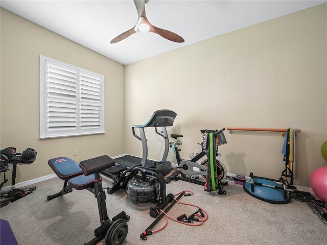 exercise area featuring baseboards, carpet, and a ceiling fan