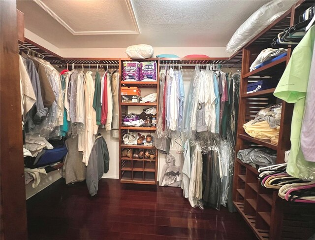 walk in closet with wood finished floors