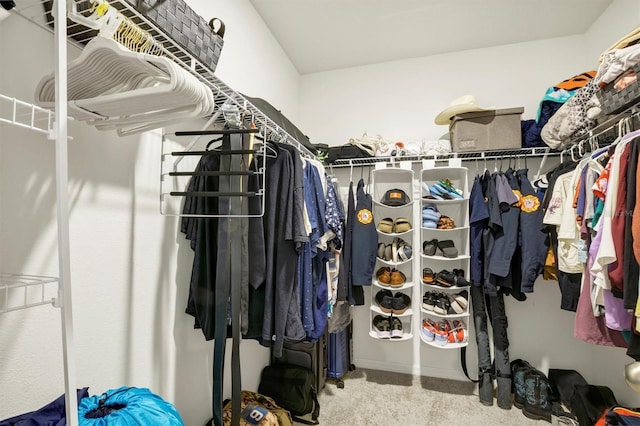 spacious closet featuring carpet floors