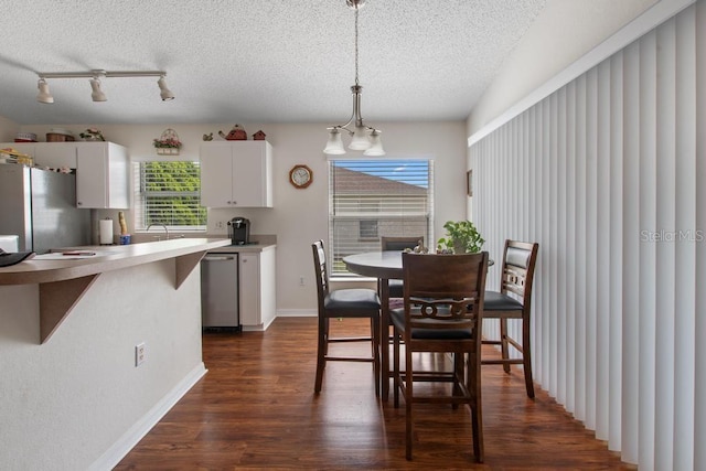 dining room featuring a textured ceiling, a wealth of natural light, dark wood-style floors, and track lighting