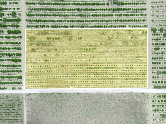 Gilbert Rd, Lake Wales, FL 33898 - photo 4