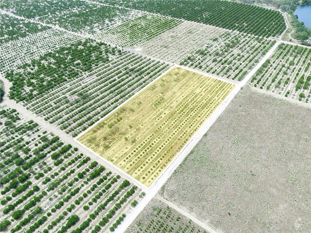 Gilbert Rd, Lake Wales, FL 33898 - photo 5