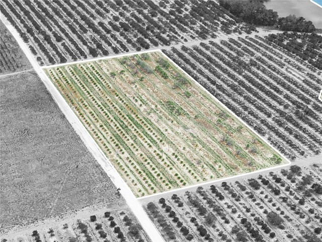 Gilbert Rd, Lake Wales, FL 33898 - photo 9