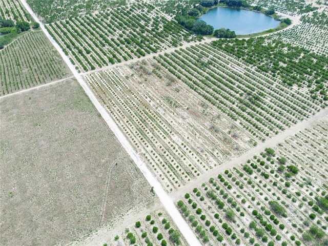 Gilbert Rd, Lake Wales, FL 33898 - photo 10