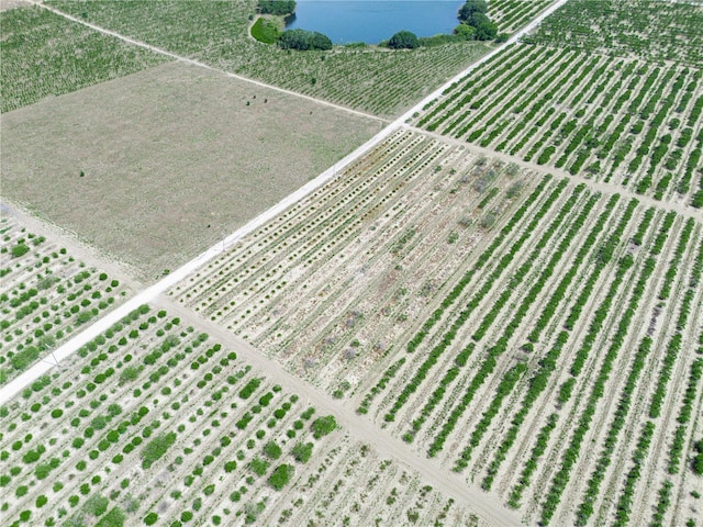 Gilbert Rd, Lake Wales, FL 33898 - photo 11