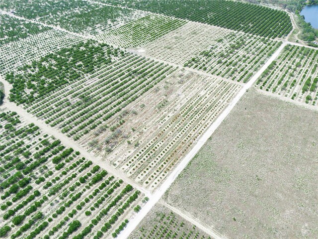 Gilbert Rd, Lake Wales, FL 33898 - photo 13